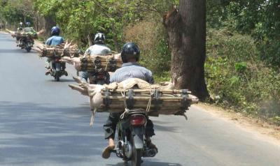 Transport 3
