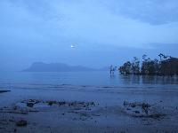 vor Sonnenaufgang auf Borneo