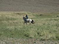 So Lehrnt man reiten