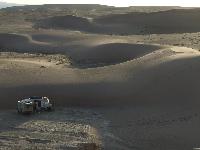 In der Gobi