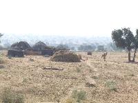 Rajasthan