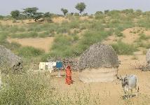 In Rajasthan
