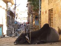 In den Strassen von Jaisalmer