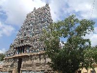 Madura